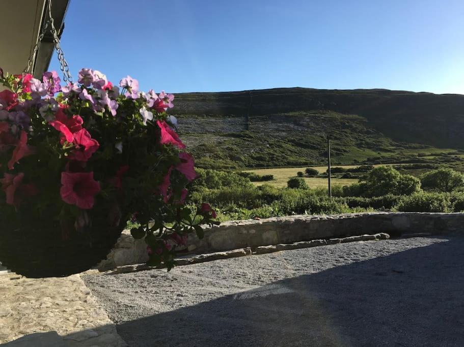 Fermoyle Properties Carleys Cottage Fanore 外观 照片