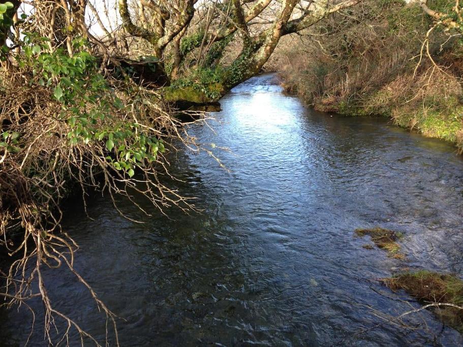 Fermoyle Properties Carleys Cottage Fanore 外观 照片